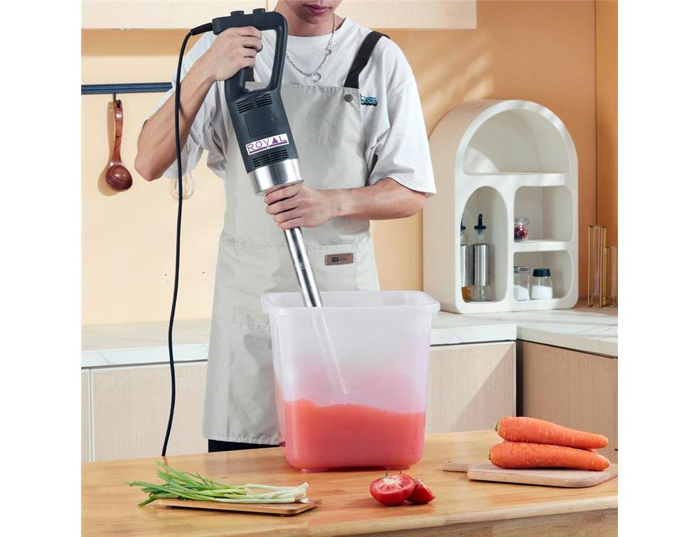 Profesjonalny blender ręczny / 750W