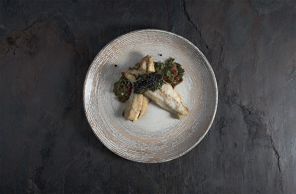 Patera talerz płytki Gourmet / 21cm / 12