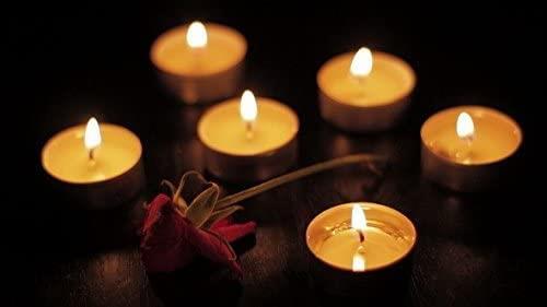 Świece typu tealight premium / 50 szt. /